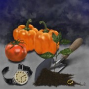 What the Garden Showed Me