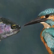 The Fisherman